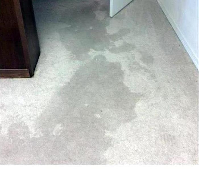 water logged carpet