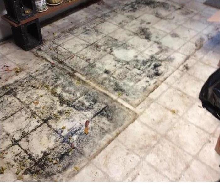 moldy basement floor 